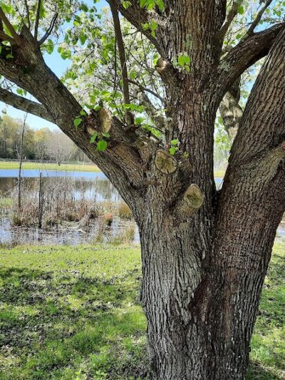 Harmon park - Swainsboro, GA