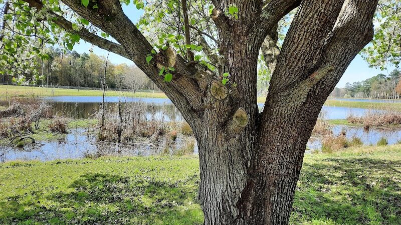 Harmon park - Swainsboro, GA