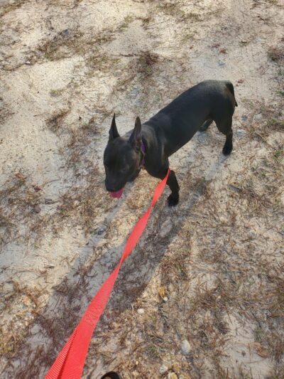 Harmon park - Swainsboro, GA