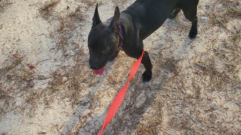 Harmon park - Swainsboro, GA