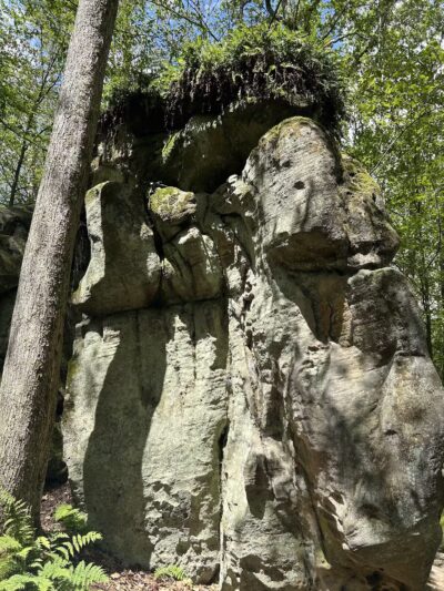 Deep Creek Lake State Park - Swanton, MD