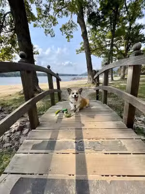 Deep Creek Lake Sand Beach - Swanton, MD