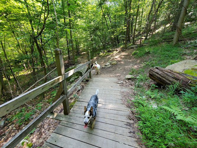 Deep Creek Lake State Park - Swanton, MD