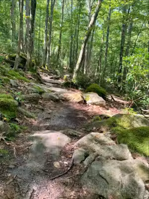 Deep Creek Lake State Park - Swanton, MD