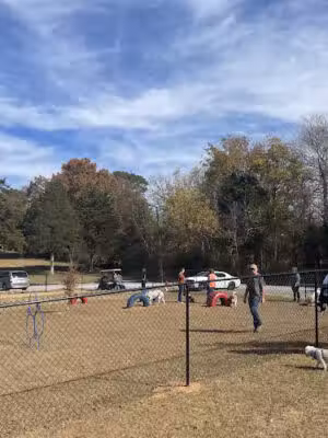 Wiggly Field Dog Park - Sweetwater, TN