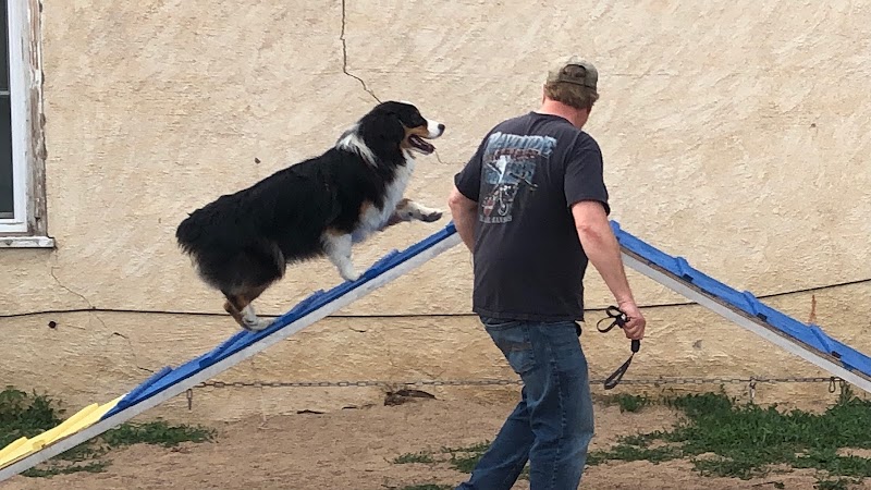 Pawsitive K9 Solutions - Colorado - Swink, CO