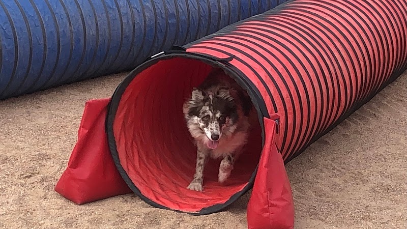 Pawsitive K9 Solutions - Colorado - Swink, CO