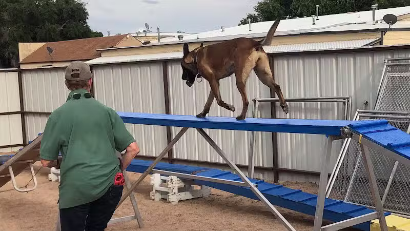 Pawsitive K9 Solutions - Colorado - Swink, CO