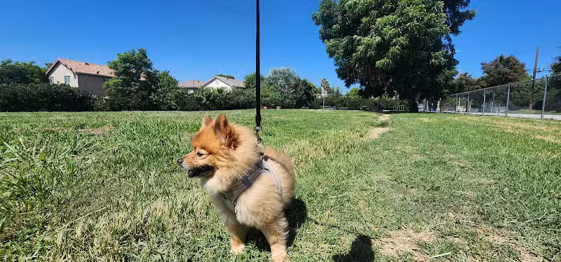 Telfair Park - Sylmar, CA