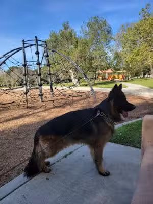 Veterans Memorial Community Regional Park - Sylmar, CA
