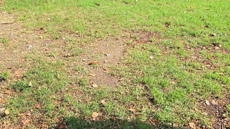 Veterans Memorial Community Regional Park - Sylmar, CA