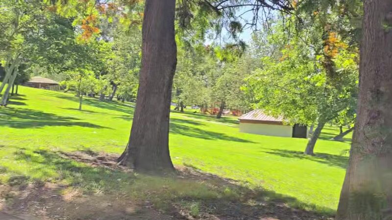 Veterans Memorial Community Regional Park - Sylmar, CA