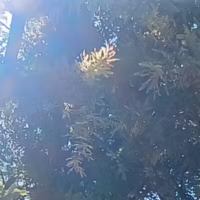 West Lakeside Street Park - Sylmar, CA