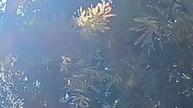 West Lakeside Street Park - Sylmar, CA