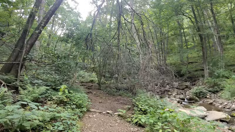 Rose River Falls - Syria, VA