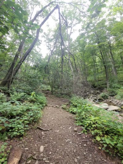 Rose River Falls - Syria, VA