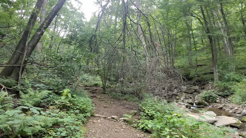 Rose River Falls - Syria, VA