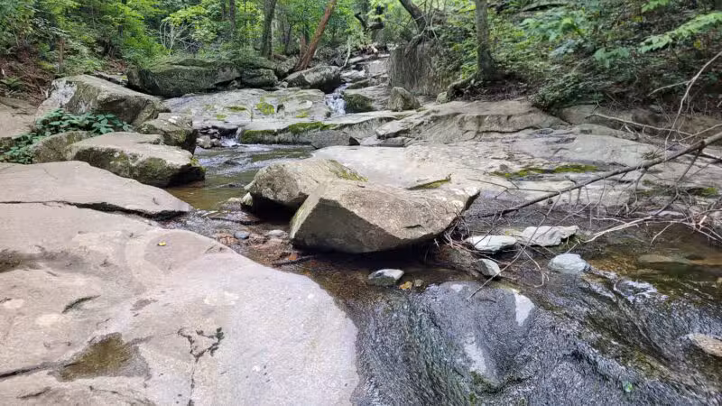 Rose River Falls - Syria, VA