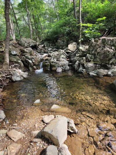 Rose River Falls - Syria, VA