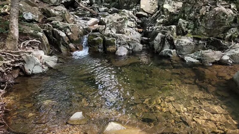 Rose River Falls - Syria, VA