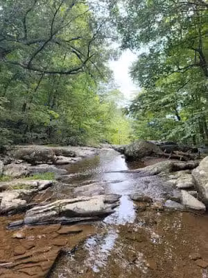 Cedar Run-Whiteoak Circuit Trailhead - Syria, VA