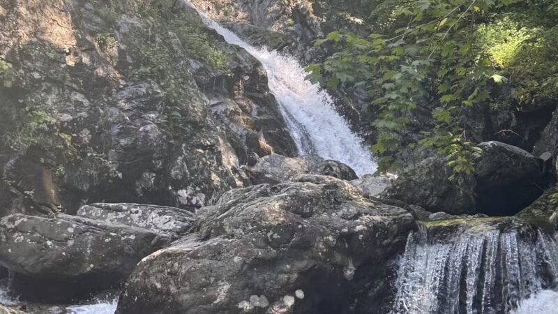 Whiteoak Canyon Falls Lower Trailhead - Syria, VA