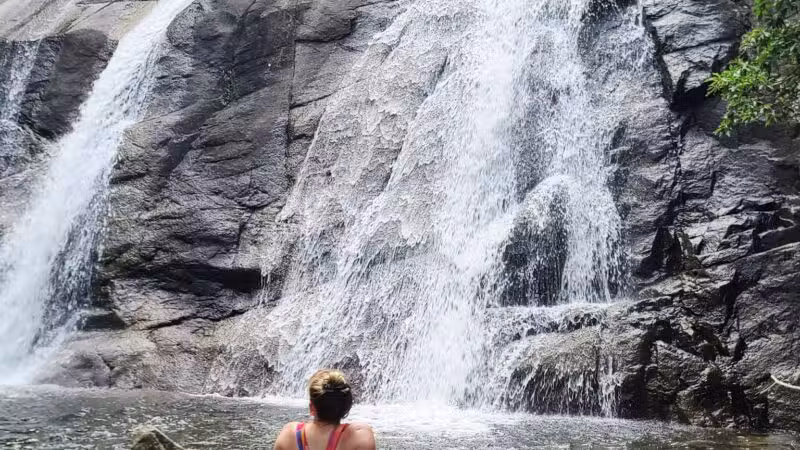 Whiteoak Canyon Falls Lower Trailhead - Syria, VA