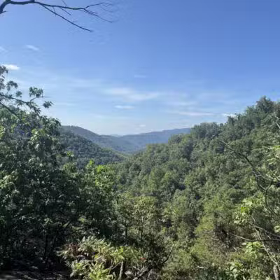 Whiteoak Canyon Falls Lower Trailhead - Syria, VA