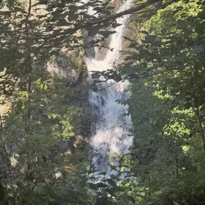 Whiteoak Canyon Falls Lower Trailhead - Syria, VA