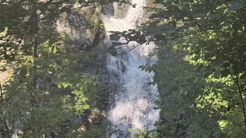 Whiteoak Canyon Falls Lower Trailhead - Syria, VA