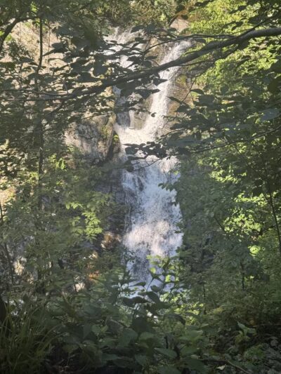 Whiteoak Canyon Falls Lower Trailhead - Syria, VA