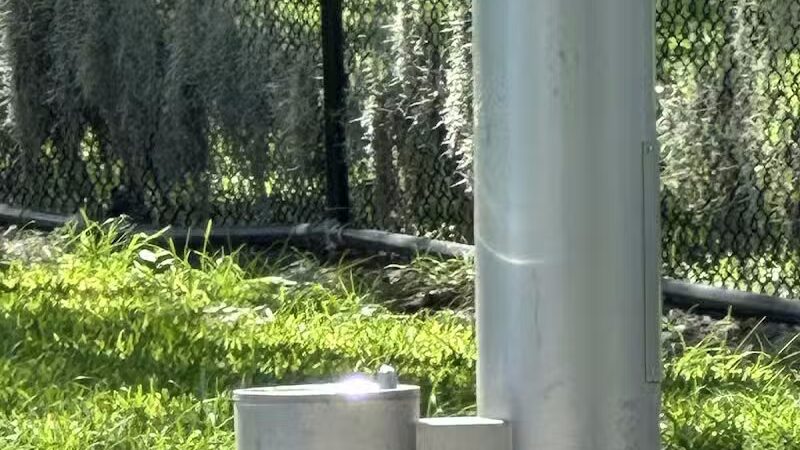 Dog Park at Gadsden Park - Tampa, FL