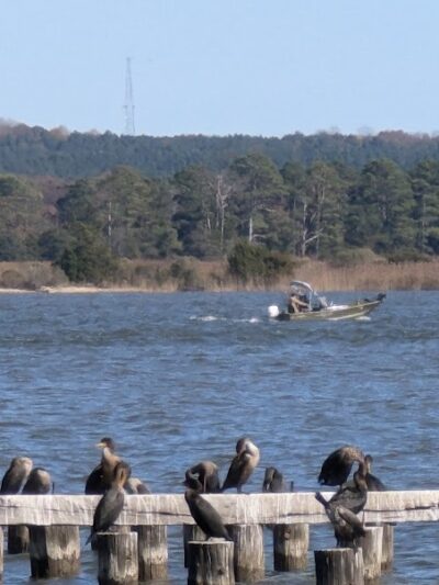 Rappahannock River Park - Tappahannock, VA