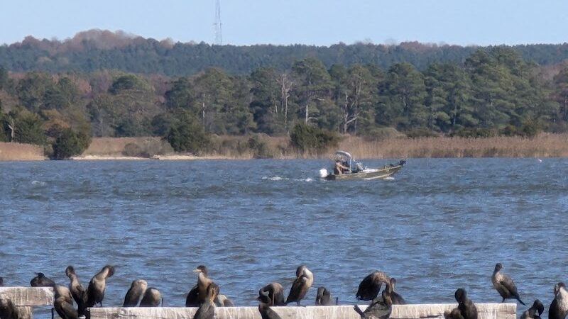 Rappahannock River Park - Tappahannock, VA