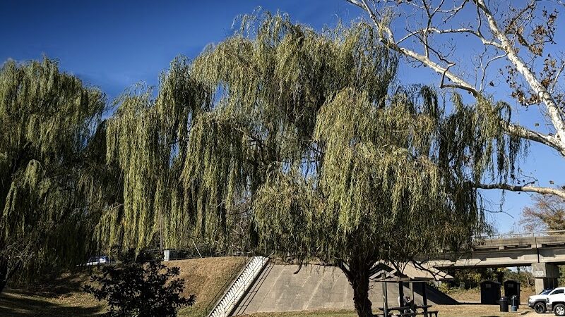 Rappahannock River Park - Tappahannock, VA