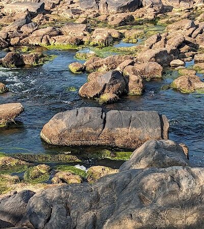 Rappahannock River Park - Tappahannock, VA