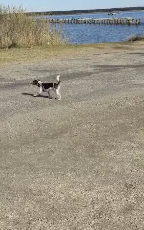 Rappahannock River Park - Tappahannock, VA