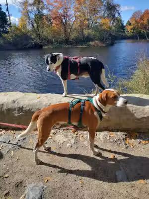 Boyden Park - Taunton, MA