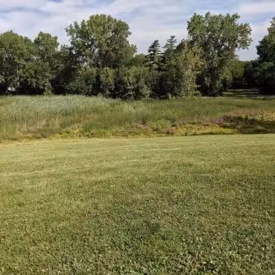 Boardman Park - Taylor,