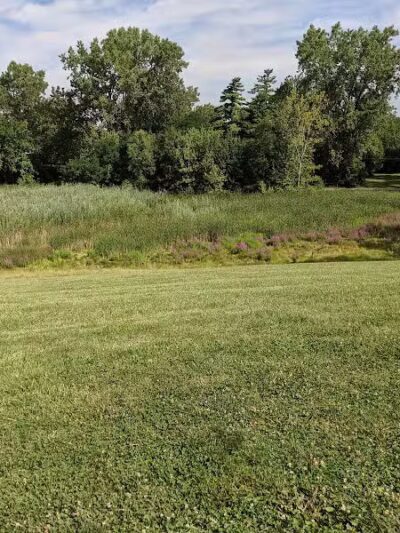 Boardman Park - Taylor,