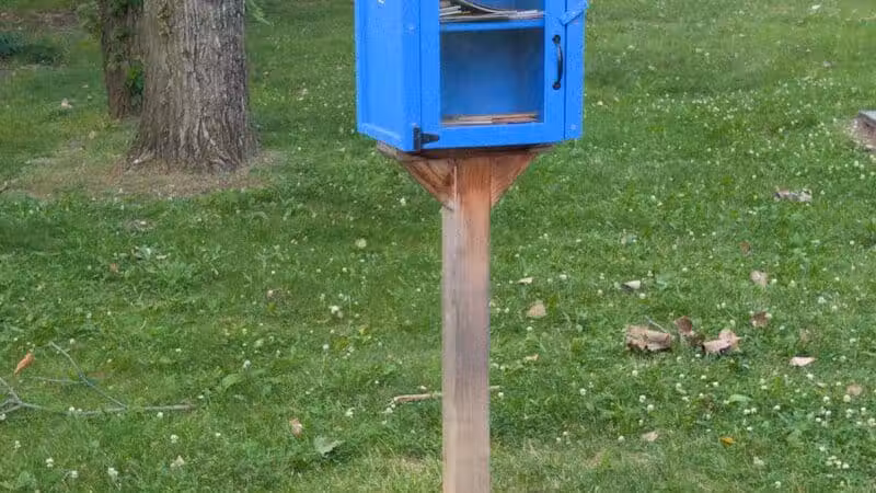 Boardman Park - Taylor,