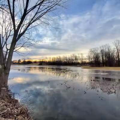 Boardman Park - Taylor,
