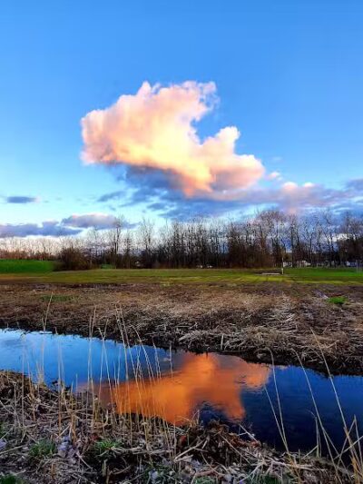 Boardman Park - Taylor,