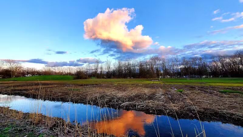 Boardman Park - Taylor,