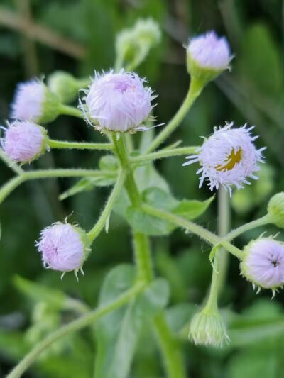 Boardman Park - Taylor,