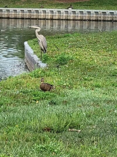 Heritage Park - Taylor,