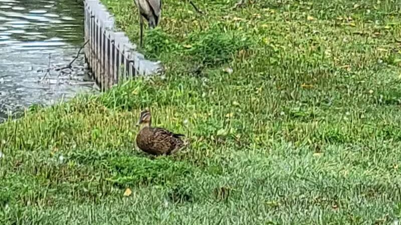 Heritage Park - Taylor,