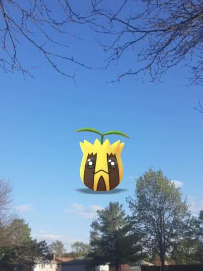 Howard Noble Park - Taylor,