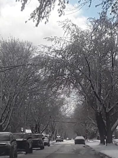 Howard Noble Park - Taylor,