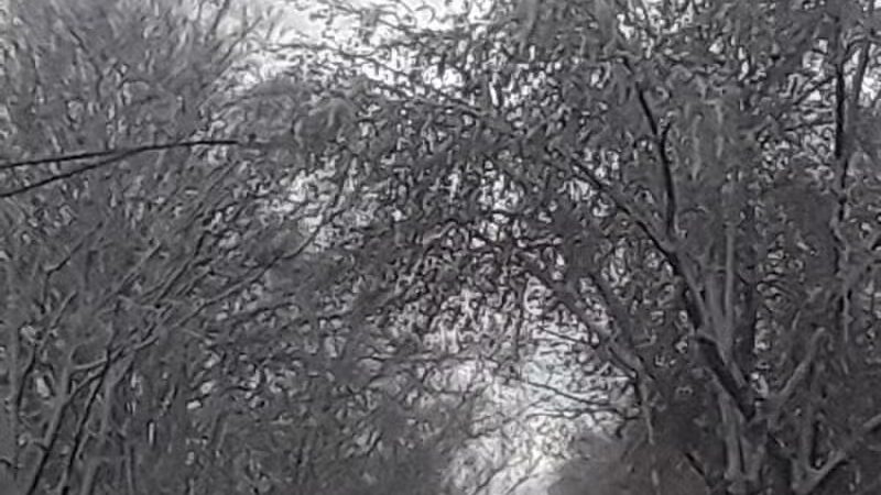 Howard Noble Park - Taylor,